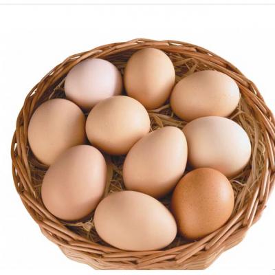 鸡蛋（8个装）