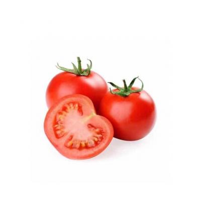 西红柿（1斤）