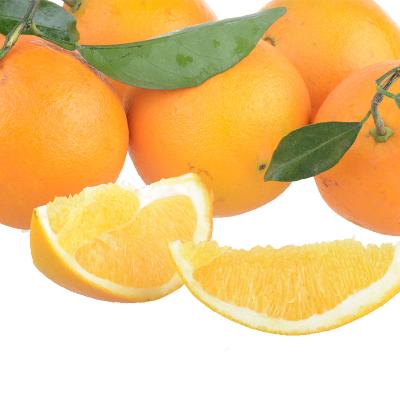 脐橙（一斤）